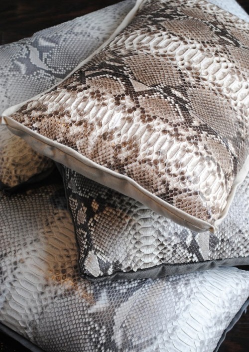 Python Pillows Design Darling