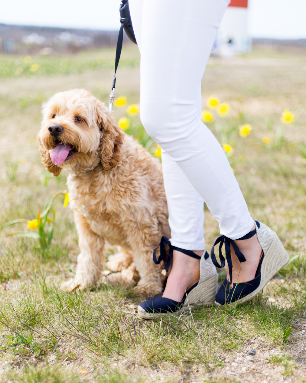 castaner navy espadrilles