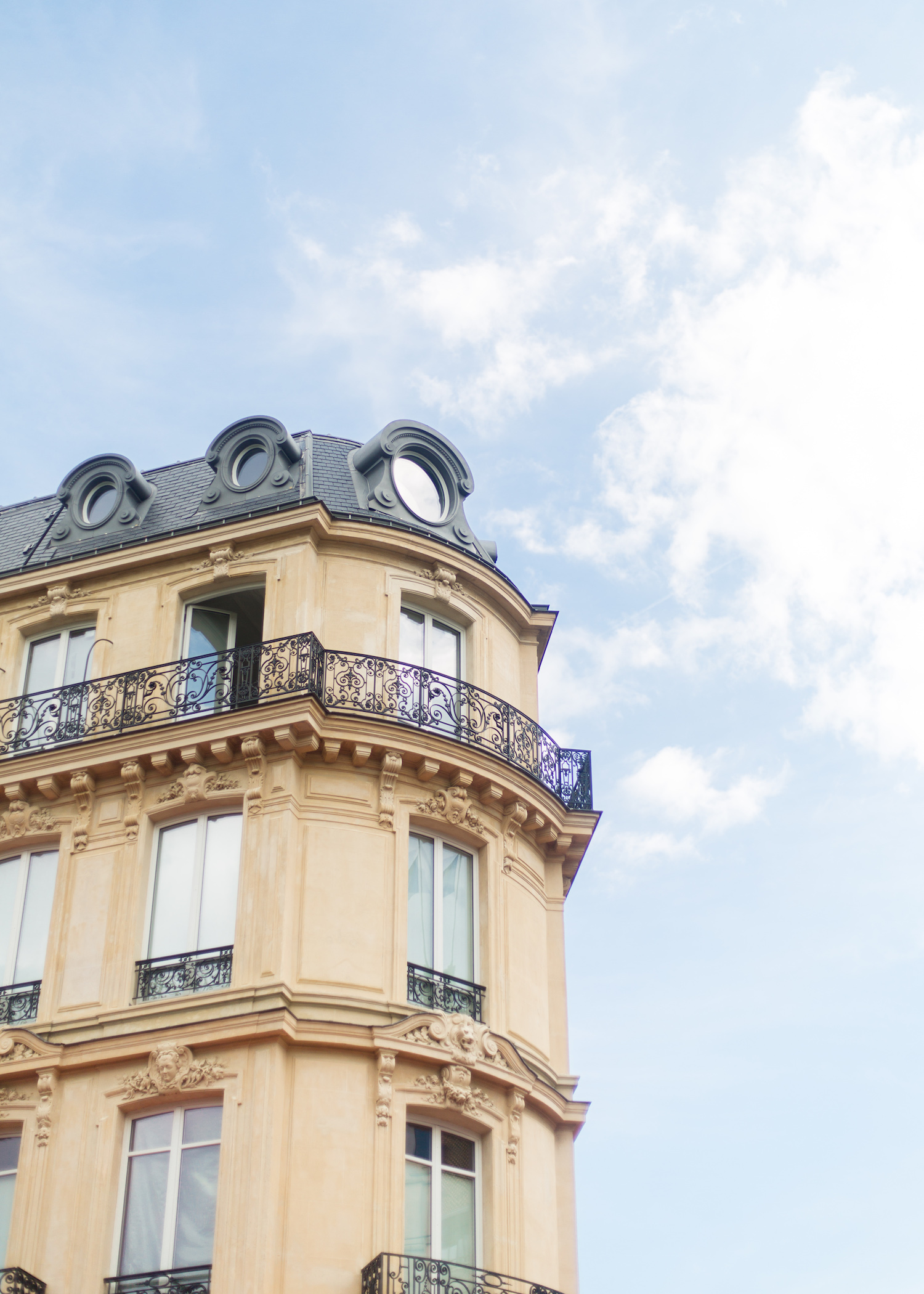 paris rooftops Design Darling