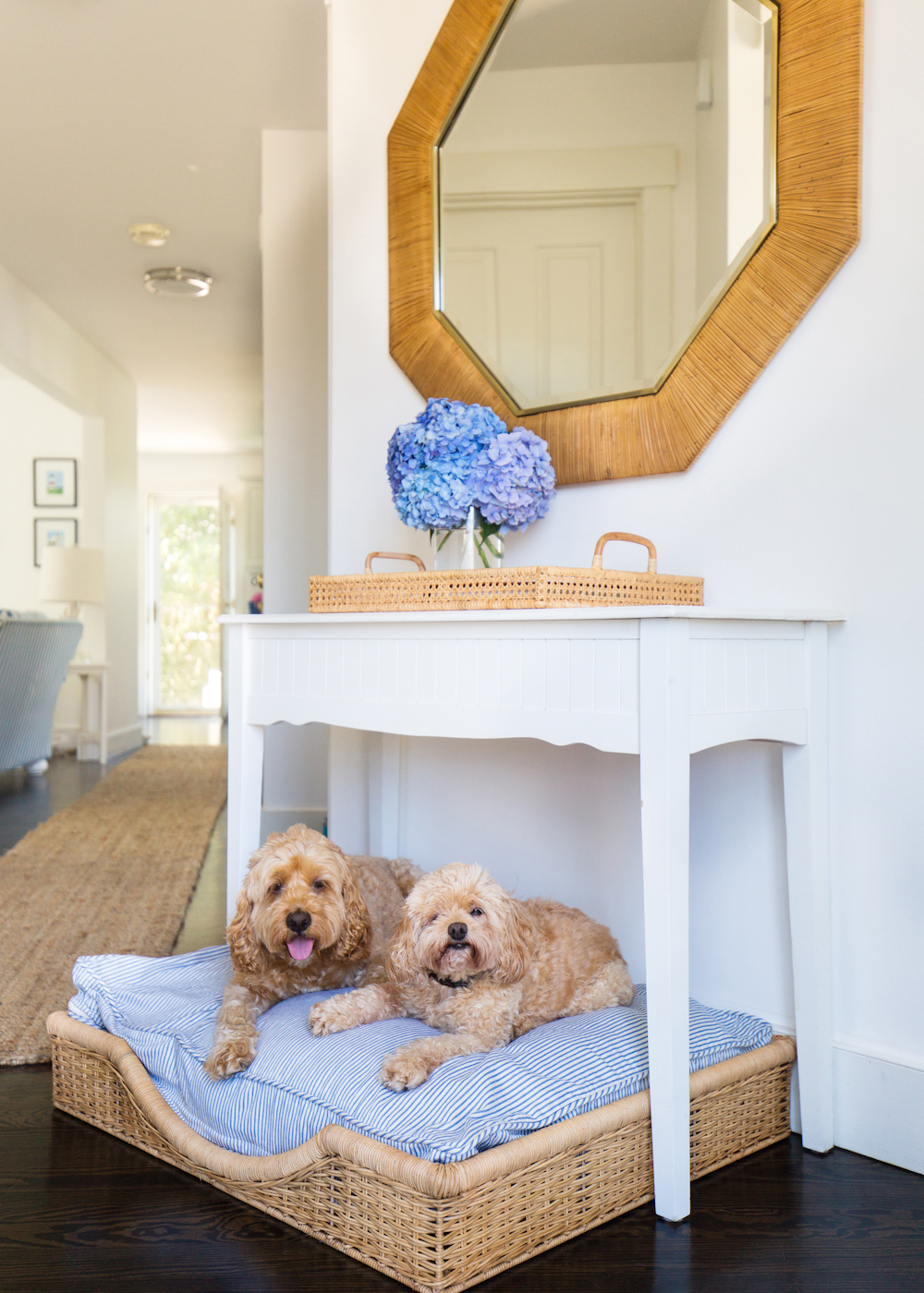 Pottery Barn Sarah Bartholomew Hughes Pet Bed And Octagonal Rattan