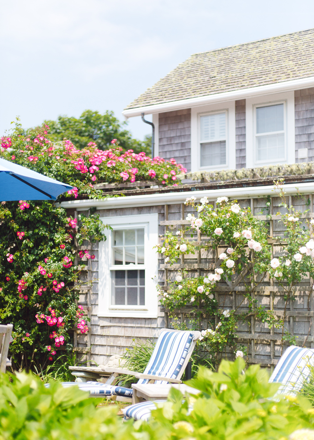 rose covered cottage sconset nantucket Design Darling