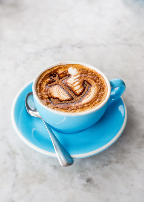 design darling anchor lattes