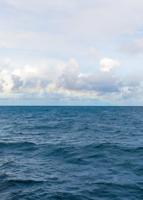 sailaway great barrier reef snorkeling rainbow