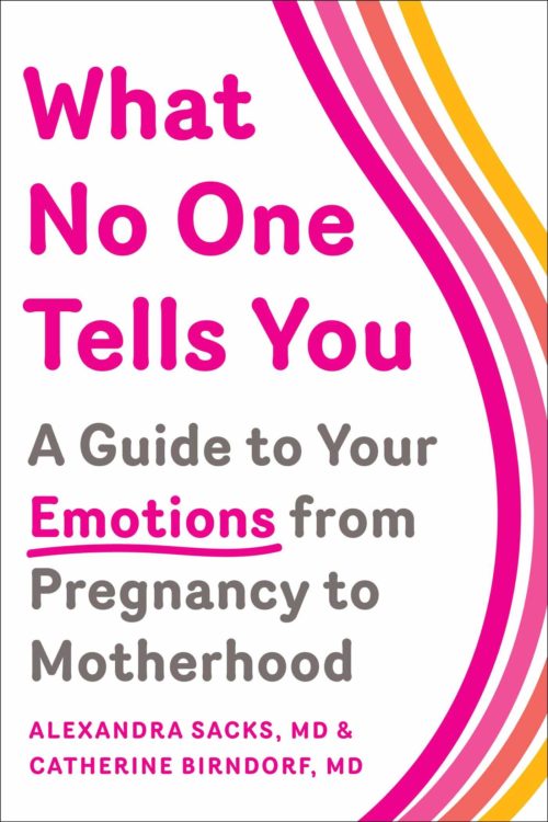 what no one tells you pregnancy book review