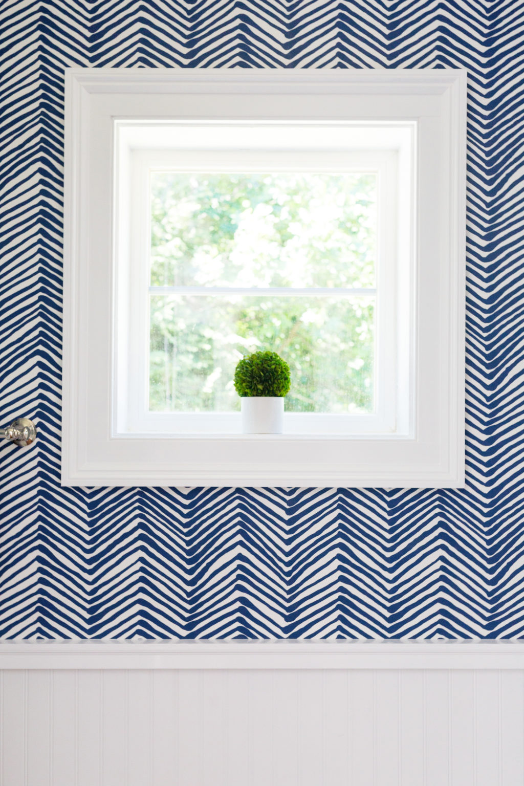 boxwood topiary in quadrille navy zig zag wallpaper powder room