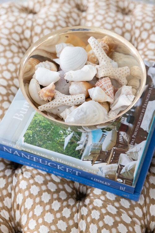 A PRETTY WAY TO DISPLAY SHELLS AT HOME Design Darling