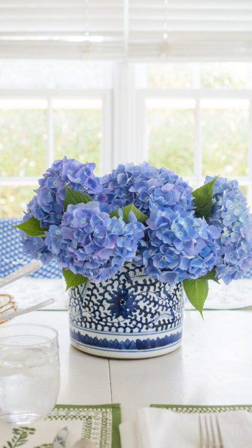 blue hydrangeas in blue and white pot
