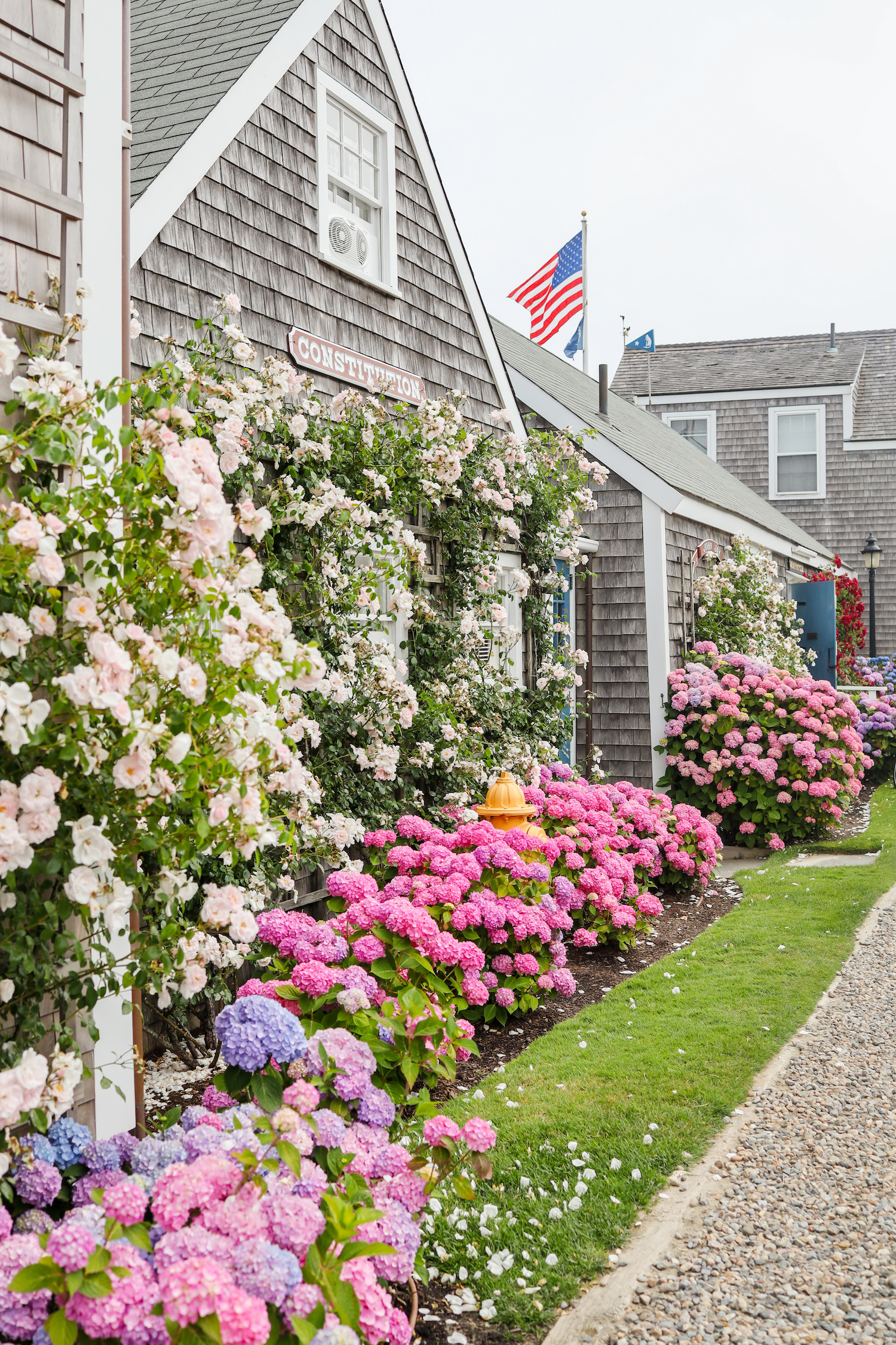 old north wharf nantucket in early july